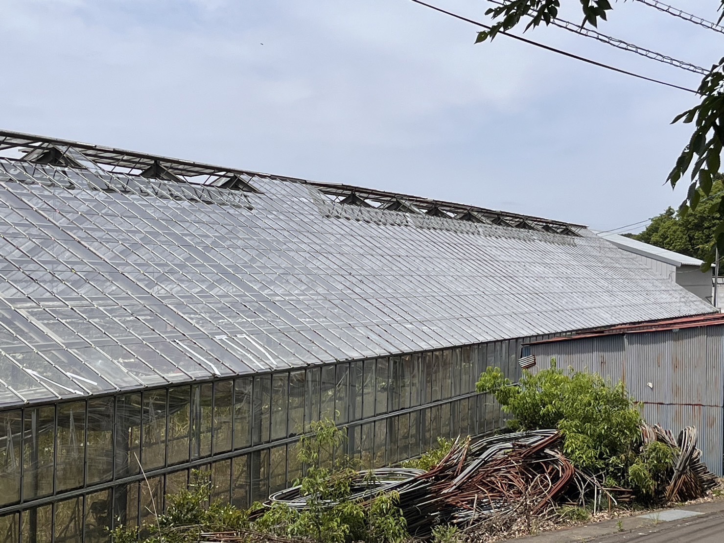 温室屋根洗浄 - 吉田農材 - 施工事例